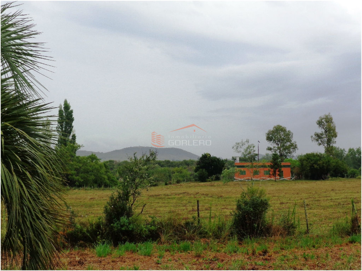 Chacra en    Punta del Este - GoPunta - Portal Inmobiliario de Punta del Este - Maldonado