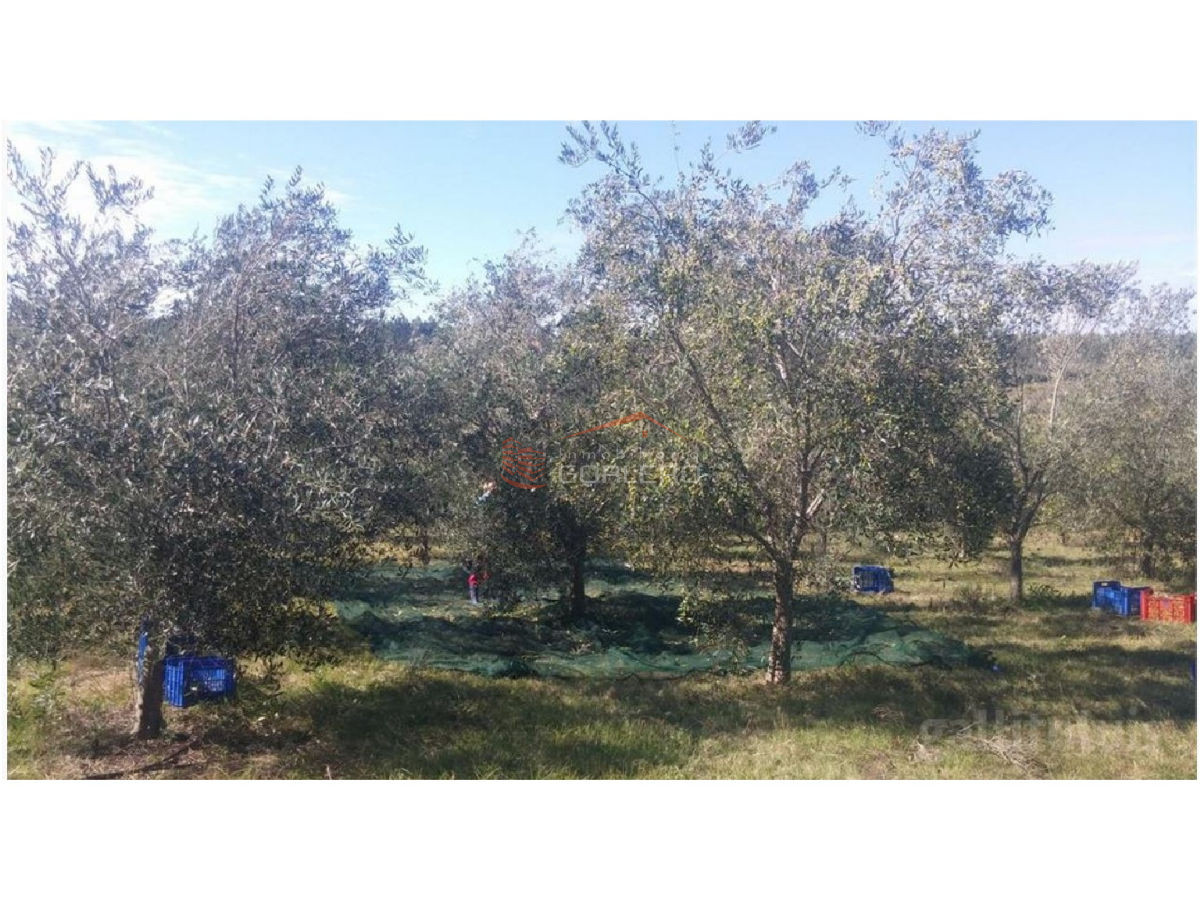 Zona Rural - GoPunta - Portal Inmobiliario de Punta del Este - Maldonado