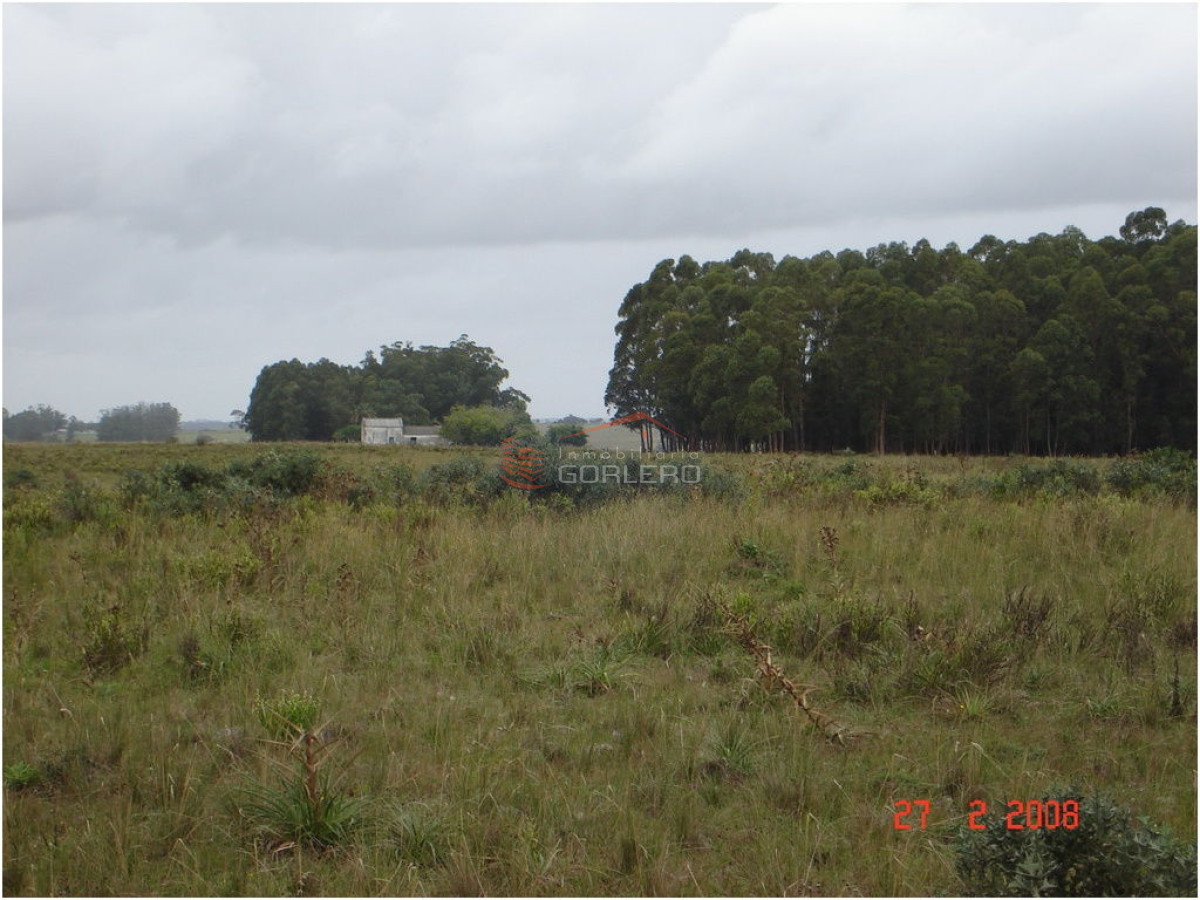 Chacra en   Punta del Este - GoPunta - Portal Inmobiliario de Punta del Este - Maldonado