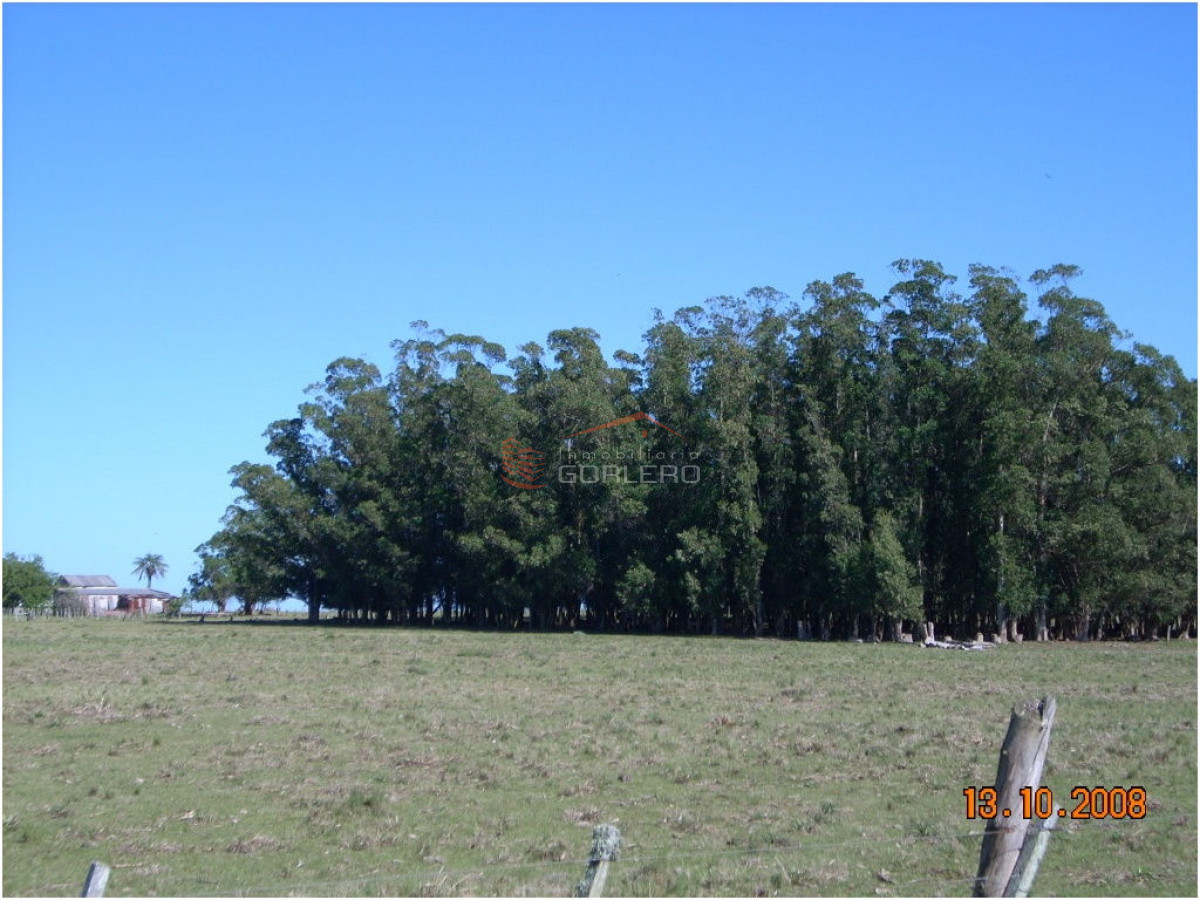 Chacra en   Punta del Este - GoPunta - Portal Inmobiliario de Punta del Este - Maldonado