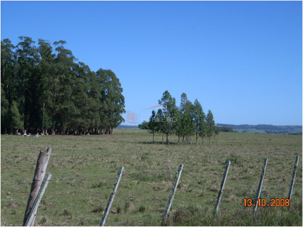 Chacra en   Punta del Este - GoPunta - Portal Inmobiliario de Punta del Este - Maldonado
