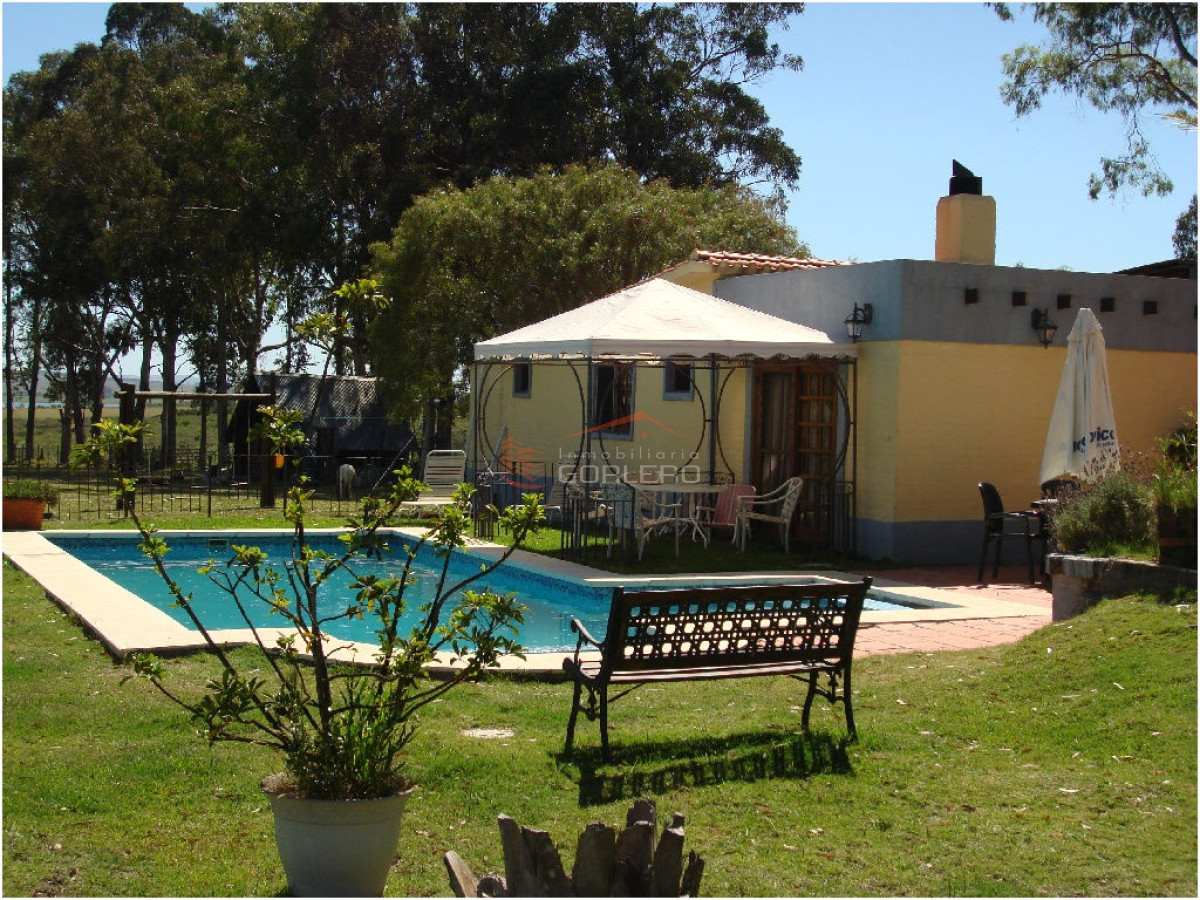 Maldonado - GoPunta - Portal Inmobiliario de Punta del Este - Maldonado