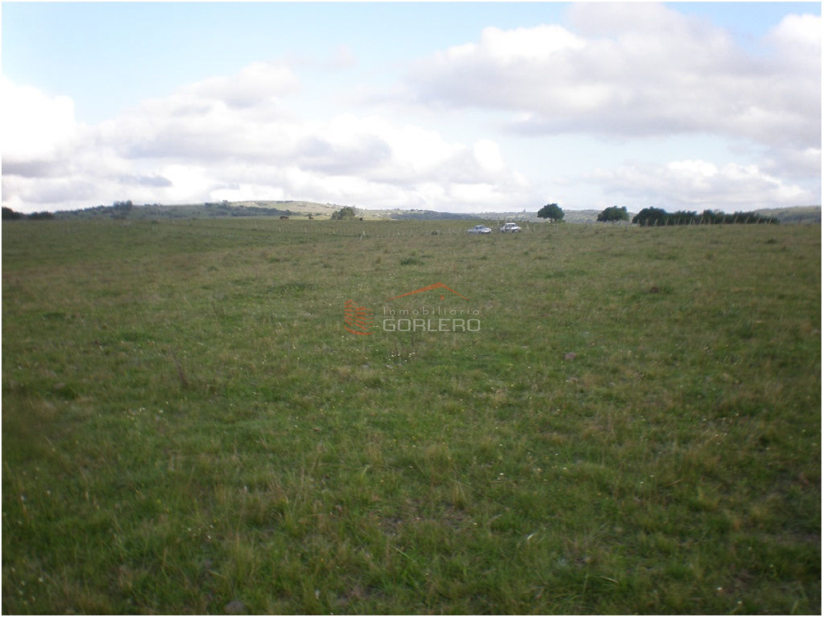 Garzon - GoPunta - Portal Inmobiliario de Punta del Este - Maldonado