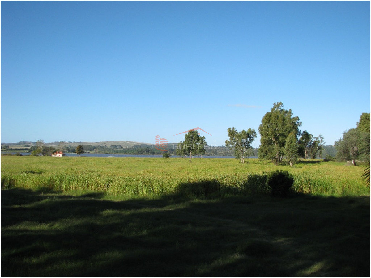 Laguna del Sauce - GoPunta - Portal Inmobiliario de Punta del Este - Maldonado