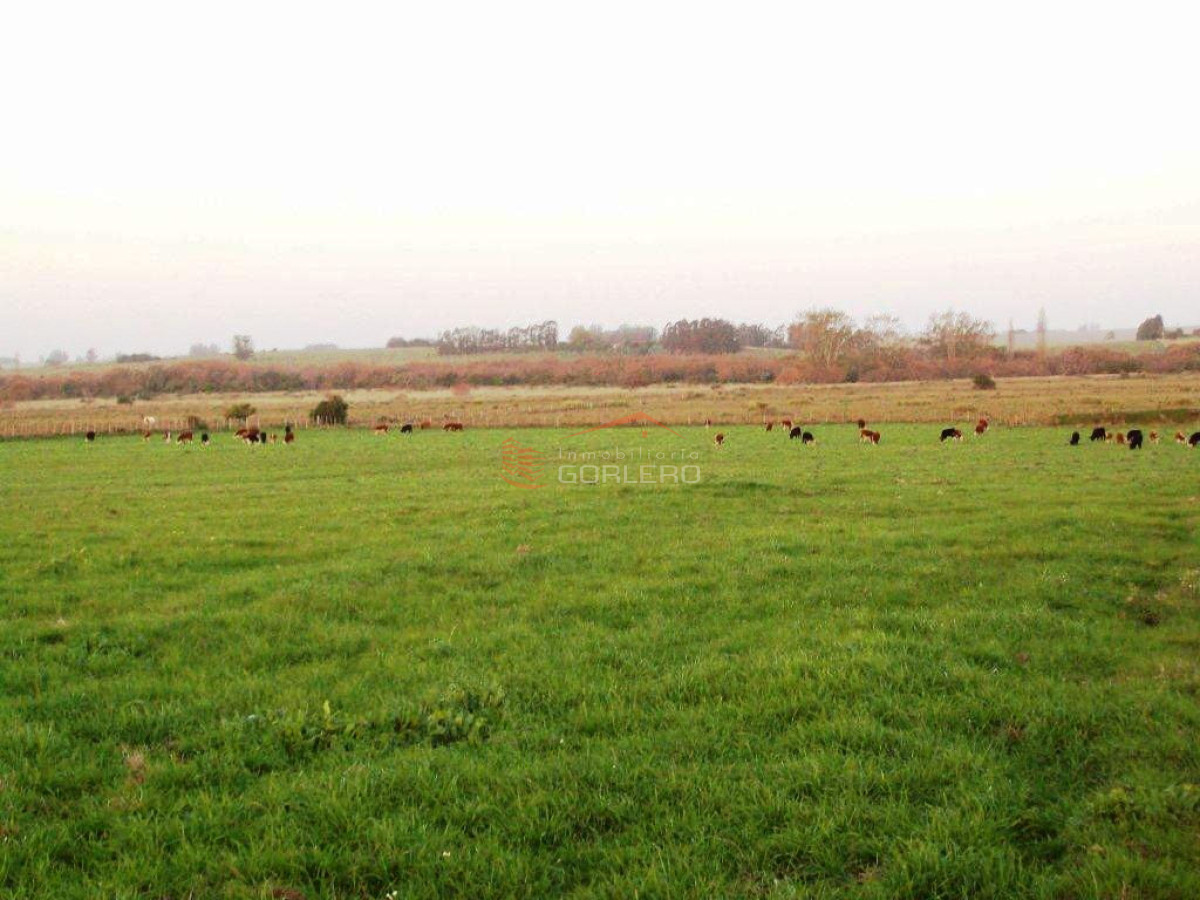 Zona Rural - GoPunta - Portal Inmobiliario de Punta del Este - Maldonado