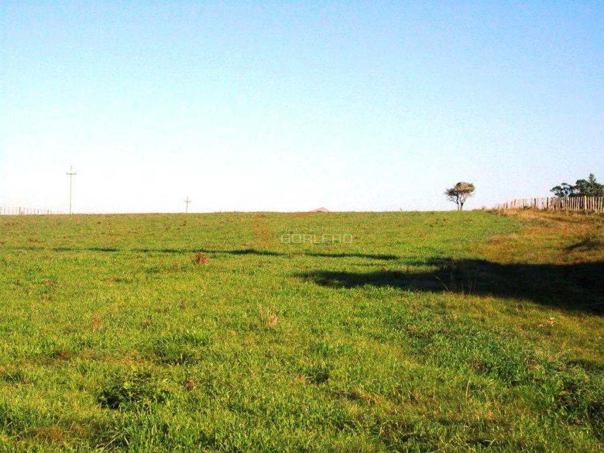 Zona Rural - GoPunta - Portal Inmobiliario de Punta del Este - Maldonado