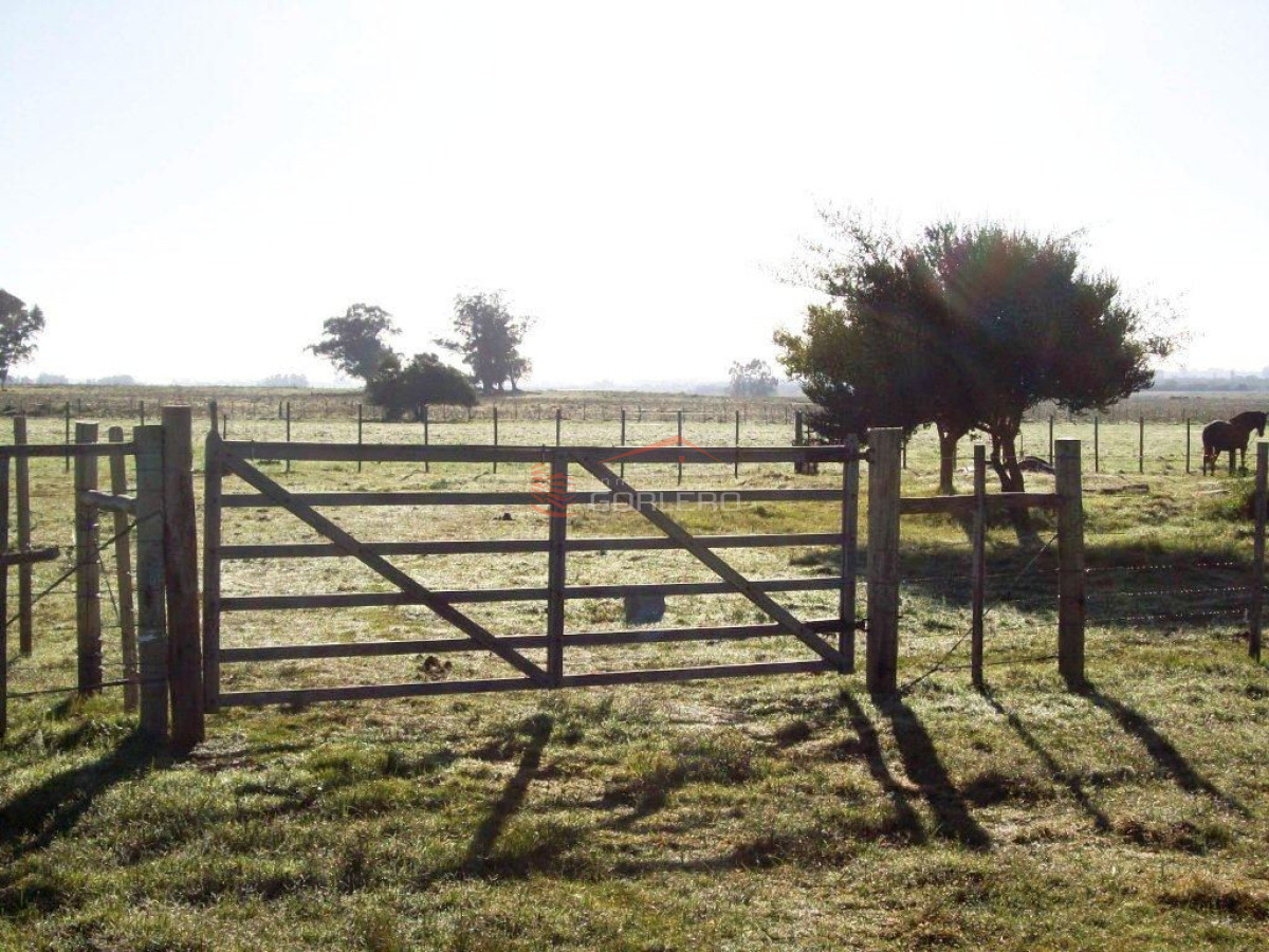 Zona Rural - GoPunta - Portal Inmobiliario de Punta del Este - Maldonado