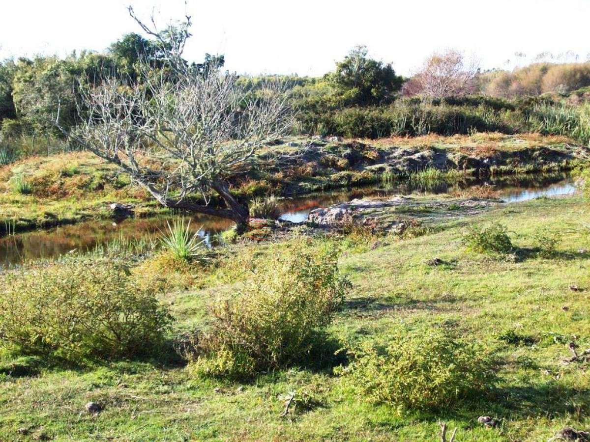 Zona Rural - GoPunta - Portal Inmobiliario de Punta del Este - Maldonado