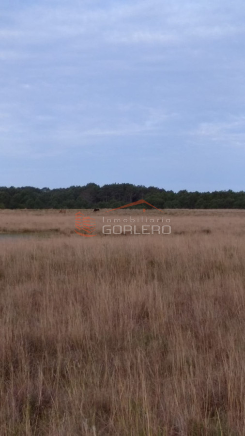 Oceania del Polonio - GoPunta - Portal Inmobiliario de Punta del Este - Maldonado