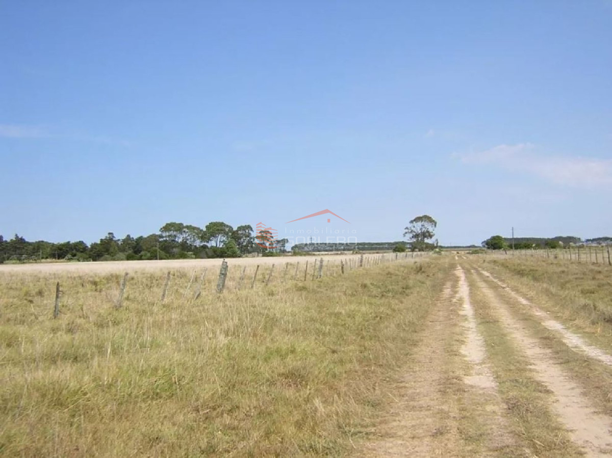 Propiedad - GoPunta - Portal Inmobiliario de Punta del Este - Maldonado