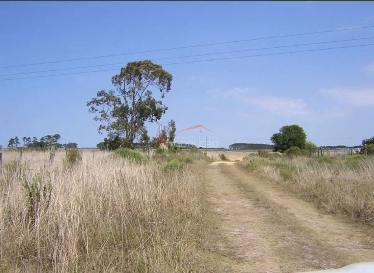 Propiedad - GoPunta - Portal Inmobiliario de Punta del Este - Maldonado