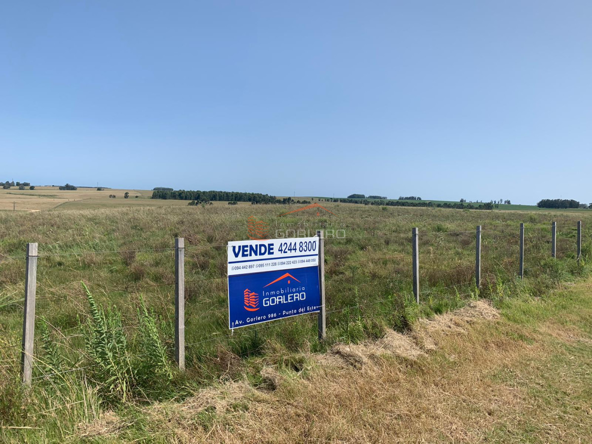 Zona Rural - GoPunta - Portal Inmobiliario de Punta del Este - Maldonado