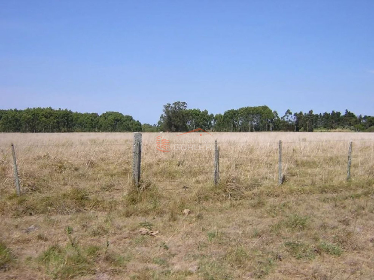 Propiedad - GoPunta - Portal Inmobiliario de Punta del Este - Maldonado