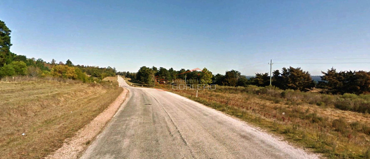 Laguna del Sauce - GoPunta - Portal Inmobiliario de Punta del Este - Maldonado