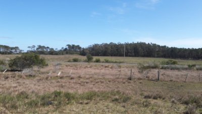 Chacra en Venta, Rocha, Oceanía de Polonio, sobre Ruta 9 a pocos km del mar