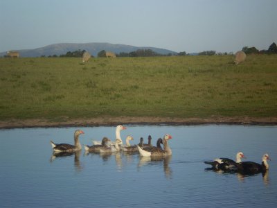 Chacra  a la venta  en Uruguay, Interbalnearia Canelones, a 2 km del mar