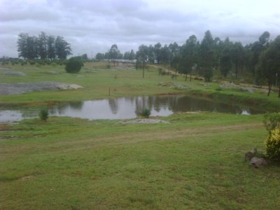 Chacra 5 hàs Ruta 12,  1000 olivos casa de piedra de 160 m2 a 1 hora de Mdeo