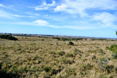 Campo en Uruguay, Laguna Garzon