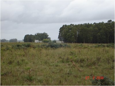 Chacra en - Punta del Este