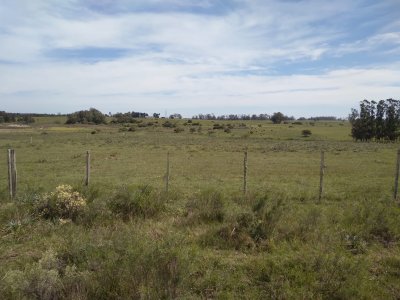 Chacra a la venta al norte de José Ignacio, 7 hás a 8 km del mar