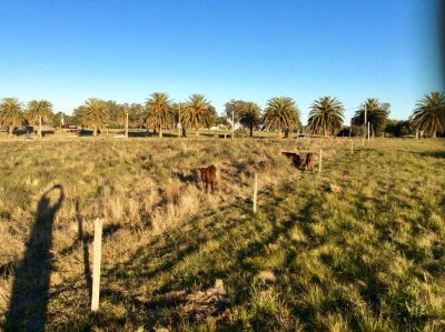 Chacras en Uruguay, Colonia