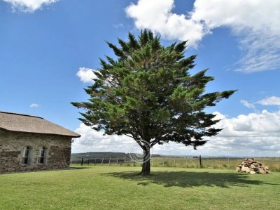 Venta de chacra Lavalleja, 10 hás con casco de piedra