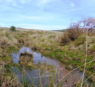 Chacra en Venta en Punta del Este, Ruta 12 antes de llegar a Pueblo Edén