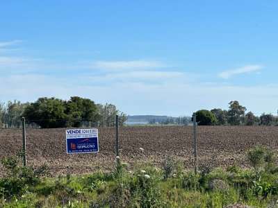 Chacra en venta en  Uruguay, Punta del Este, Ruta 12