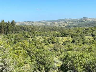 Venta de chacras en Rocha !!! Sierras de Garzón 