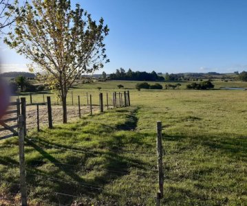 Chacra con casa a la venta en Maldonado, Ruta 39 a 20 min de Punta del Este