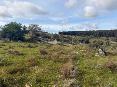 Chacras en Ruta 60