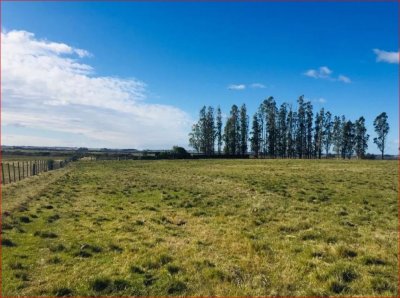 Venta de chacra en Maldonado a casi 30 km de Punta del Este, con cañada 