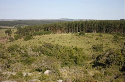 Venta de Chacra con 5 hás en Maldonado zona de Sierras