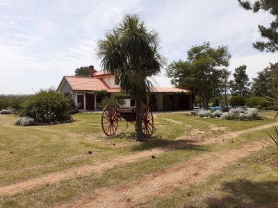 Chacra a la Venta en  Uruguay  a 27 km de  Punta del Este, vivienda con piscina climatizada, huerta, frutales