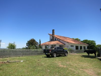 Venta de Chacra 