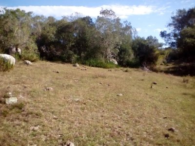 Venta de Chacra en Aiguá - Maldonado