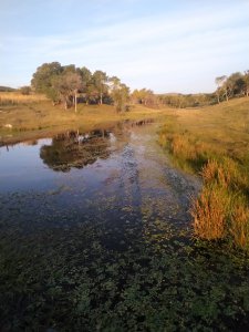 Venta de Chacra en Lavalleja, Minas.