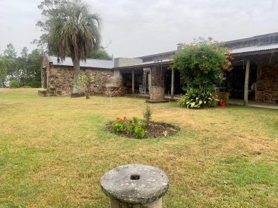 Chacra de 5 Has con Importante Casa en Pueblo Edén, Ruta 12, Olivos y monte nativo