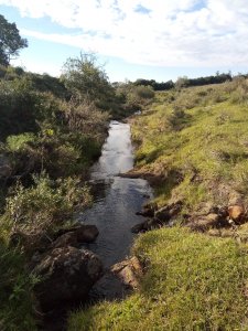 Venta de chacras en zona de Ruta 12, Pueblo Edén, Espectacular entorno!!!