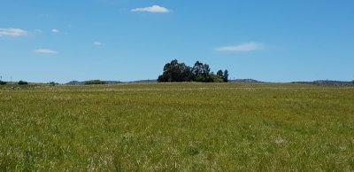 Chacra en Uruguay, Maldonado, Ruta 39, con casco antiguo reciclado