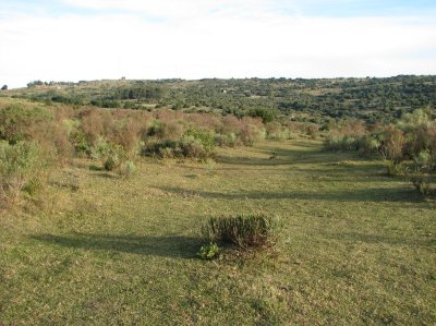 Venta de Chacra en Uruguay, Ruta 39, a 70 km de Punta del Este