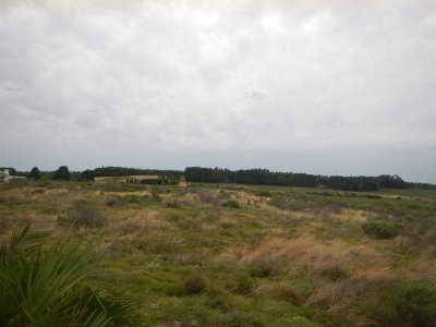 Chacra en Punta del Este, Ruta 104