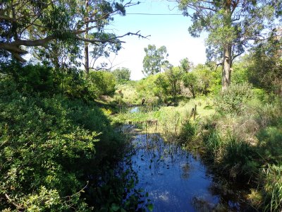 Venta de chacra en Ruta 9 y 12 casi 5 hás con costa cañada permanente Muy buen entorno