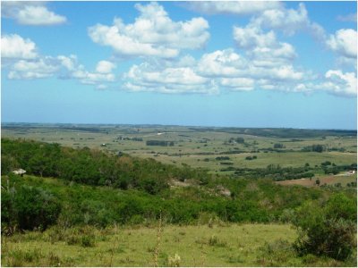 VENTA DE CHACRA DE 5 HAS