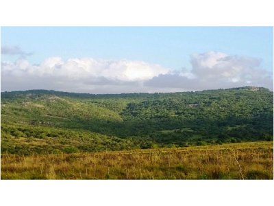 Venta de Chacra en Punta del Este