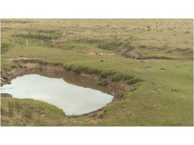 CHACRA EN RUTA 9 - 6 HAS 