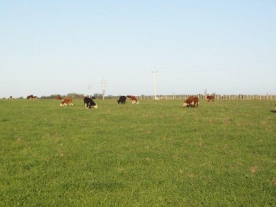 Chacra en Uruguay , a  30 km de Punta del Este con instalaciones, mejorado