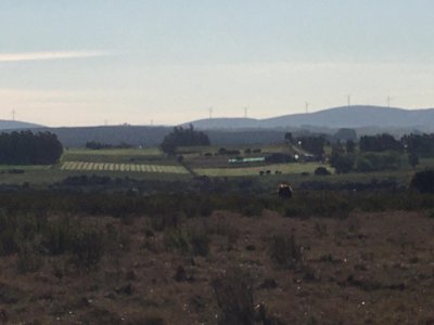 Chacra de 6 Has a 20 minutos de Punta, arroyo y monte nativo