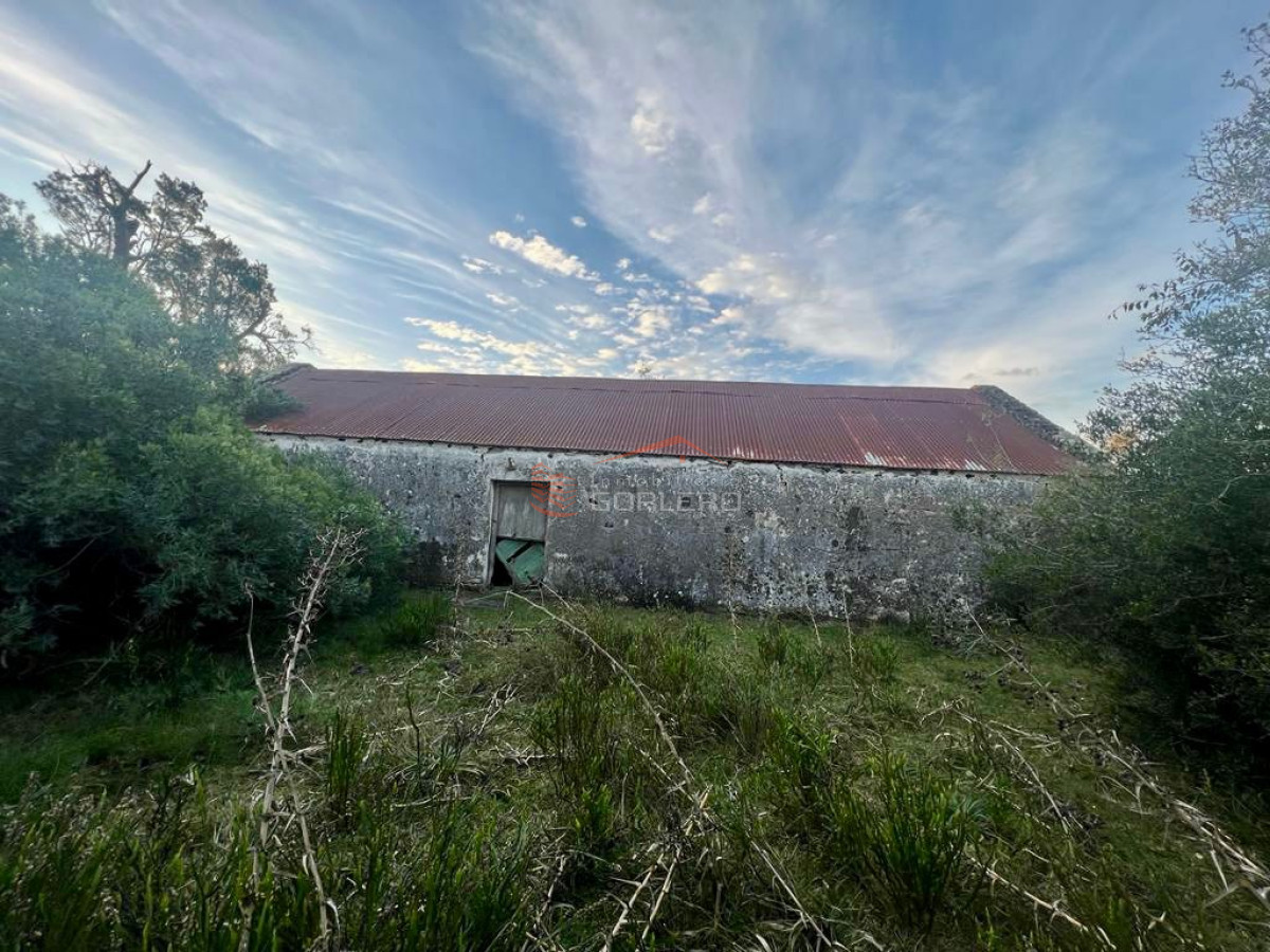 Campo a la venta en Lavalleja a pocos km de Aiguá, 137 hás - GoPunta - Portal Inmobiliario de Punta del Este - Maldonado