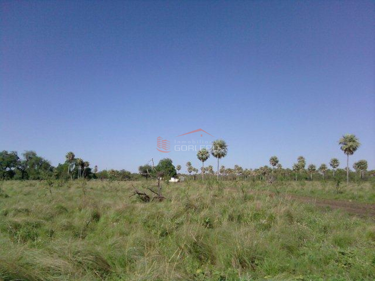 Campo en Argentina   Argentina - GoPunta - Portal Inmobiliario de Punta del Este - Maldonado
